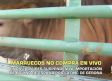 El campo - 17/10/2025