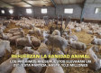 Los nuevos presupuestos de la Junta refuerzan la sanidad animal - 24/10/2025