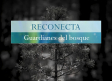 RECONECTA, GUARDIANES DEL BOSQUE