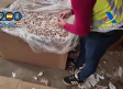 Desmanteladas dos fábricas clandestinas de tabaco, una de ellas en Talavera de la Reina