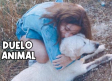 Duelo animal: 'existe, es profundo y es digno'