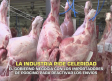 El Gobierno negocia con los importadores de porcino para reactivar los envíos - 04/12/2025