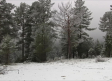 La nieve vuelve a cubrir de blanco la Serranía de Cuenca