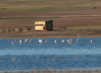 Día de los humedales: más 450 ecosistemas en Castilla-La Mancha
