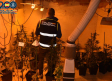 Un detenido con 65 plantas de marihuana en Alcázar de San Juan