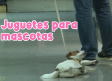 Juguetes, una forma para educar y fortalecer la relación con tu mascota