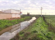 Las lluvias reactivan el cauce del río Azuer a su paso por Daimiel
