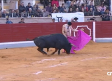 Corrida benéfica en Villaseca de la Sagra (21/03/2026)