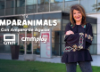 CMM estrena este jueves ‘Amparanimals’, el formato de CMMPlay que acerca el mundo animal a la región