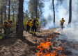 Se intensifican los trabajos de prevención de incendios forestales con quemas controladas