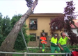 Cae una rama de grandes dimensiones en el jardín de una vivienda en Ciudad Real