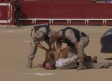 Exhibición de agentes caninos en la Plaza de Toros de Toledo