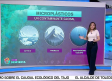 ¿Cómo se pueden eliminar los microplásticos?