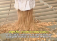 España es ya el primer proveedor europeo de almendra- 29/04/2026