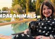 Amparanimals - Programa 5