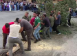 Los mozos de Puebla de Don Rodrigo plantan el árbol-mayo