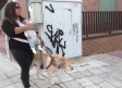 El perro "Hero" son los ojos de Karla y su bebé