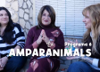 Amparanimals - Programa 6