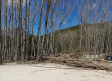 El Monumento Natural del nacimiento río Cuervo cierra desde este lunes por trabajos de seguridad