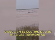 Castilla-La Mancha fin de semana a las 2 09/05/2026