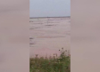 Las tormentas causan daños en los cultivos de ajo de Balazote