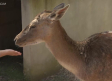 Visitamos el bioparque La Rocha en Alborea
