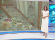 Castilla-La Mancha despierta - 14/05/2026