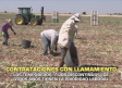 Los temporeros fijos-discontinuos de otros años tienen prioridad laboral - 14/05/2026