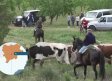 Los vecinos de Alcadozo celebran San Isidro con cuatro encierros por el campo