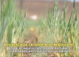 ASAJA pide bonificar el gasóleo y los abonos - 18/05/2026