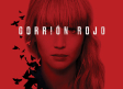 Gorrión rojo