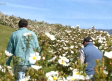 Florece la jara en los campos de Hiendelaencina y Villares de Jadraque