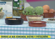 Dietas especializadas