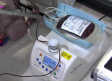 Talavera quiere llegar a las 600 donaciones de sangre en un día