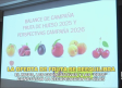 La oferta de fruta se reequilibra - 26/05/2026