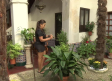 Puesta a punto de los patios toledanos de cara al Corpus