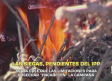 Las siegas, pendientes de IPP de incendios - 01/06/2026
