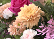 70 floristas de toda España se encargan de la decoración floral del Corpus toledano