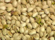 Nuevas cooperativas del pistacho apuestan por la IA