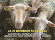 El campo - 02/06/2026