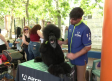 Toledo acoge el primer Concurso Nacional Canino