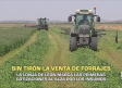 Sin tirón la venta de forrajes - 08/06/2026
