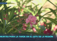 Previsión del tiempo - 09/06/2026