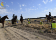 Guardia Civil a caballo: así se vigila la recolección de ajo en Albacete para prevenir robos