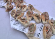 Una decena de chefs participa en el showcooking "Cultura, tradición y gastronomía " de Cañete