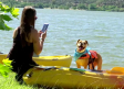 Kayak en Cazalegas, aventuras para compartir con tu peludo