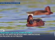 Previsión del tiempo - 19/06/2026