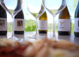 Lazos: vino ecológico en una viña llena de vida