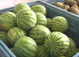 Comienza la temporada de melones y sandías