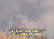 Castilla-La Mancha a las 8 - 30/06/2026